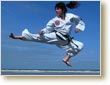 Taekwondo